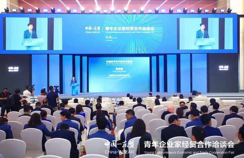 中国 东盟青年企业家经贸合作洽谈会在广东肇庆举办