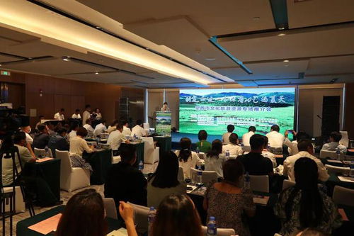 定西市文化旅游产品精彩亮相第二十八届中国兰州投资贸易洽谈会