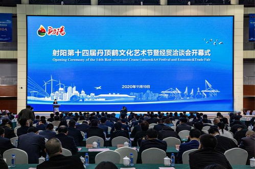 射阳文化搭台助力项目对接,吸引投资近99亿元