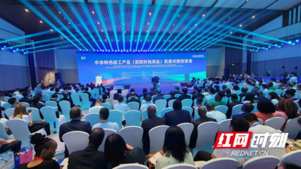 让世界看见“一片叶子”的魅力 保靖黄金茶亮相中非经贸博览会