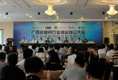回顾2015年中国碳酸钙行业大事件及部分点评
