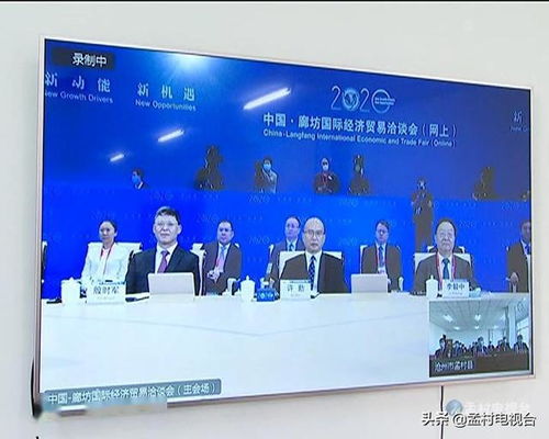 2020年中国 廊坊国际经济贸易洽谈会 网上 5月18日开幕