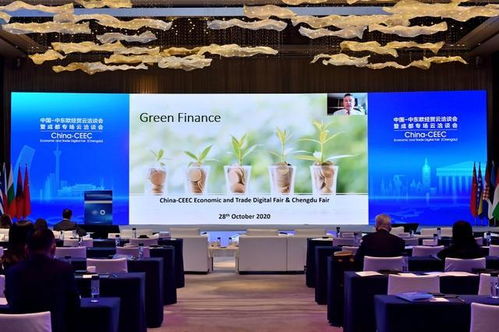 共拓云端商机，中欧经贸合作新篇章——记中国中东欧经贸云洽谈会暨成都专场云洽谈会